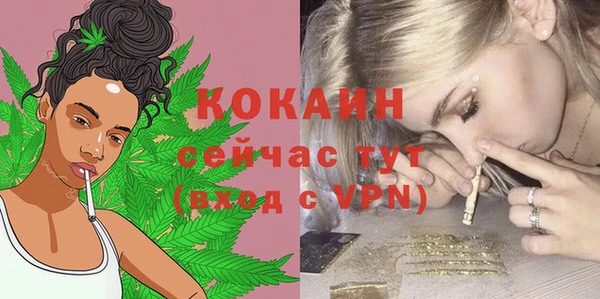 гашик Ростов