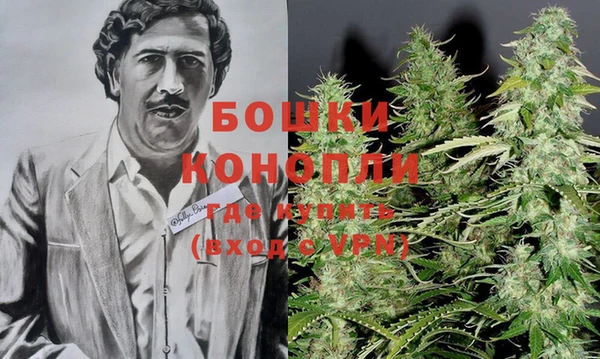 гашик Ростов